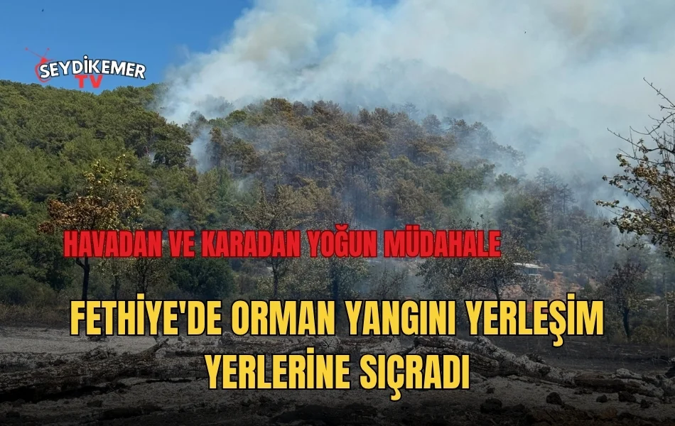 Haber Resmi