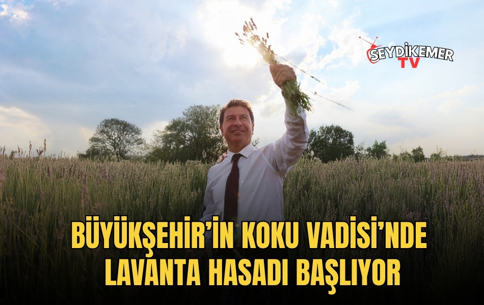 Haber Resmi