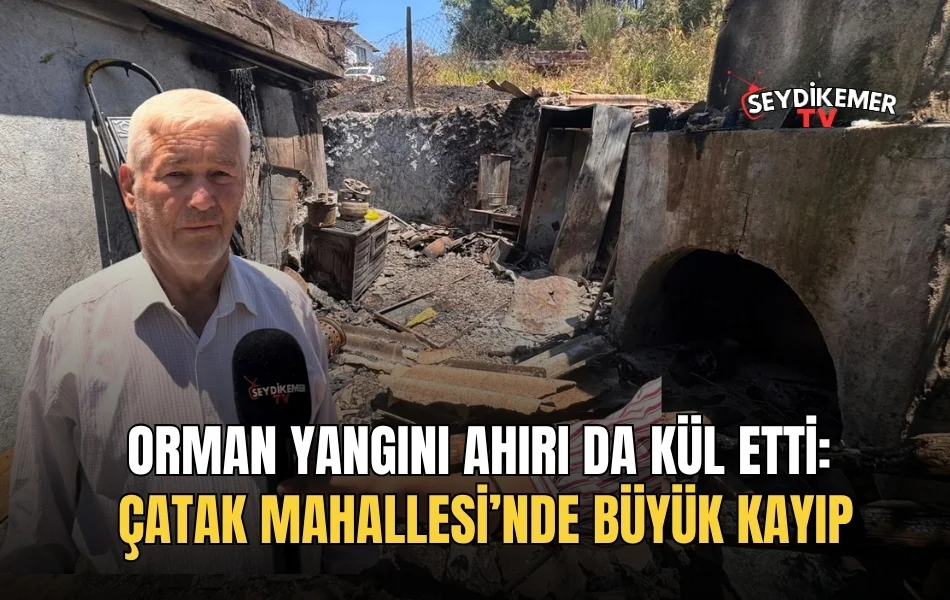 Manşet Resmi