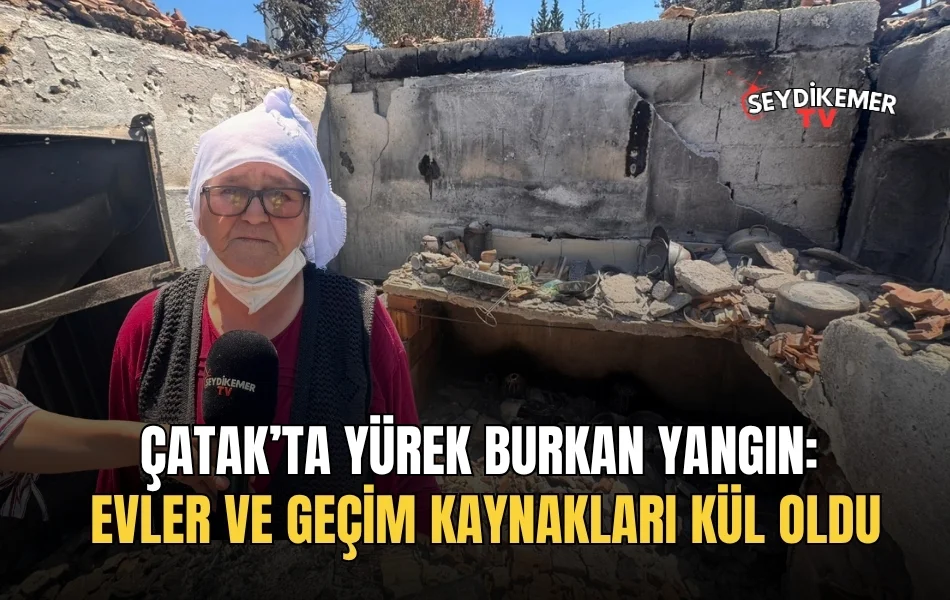 Manşet Resmi