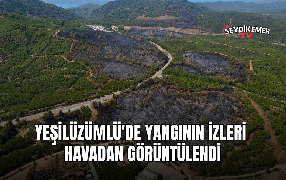 Manset Yani Resmi