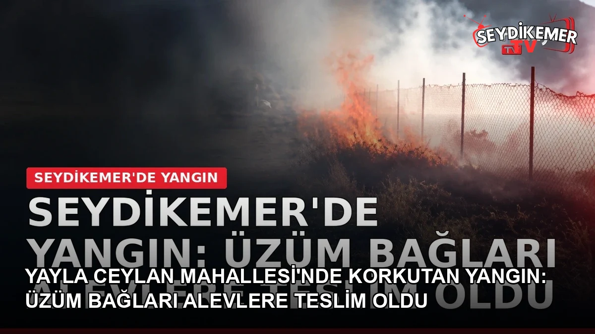 Manşet Resmi