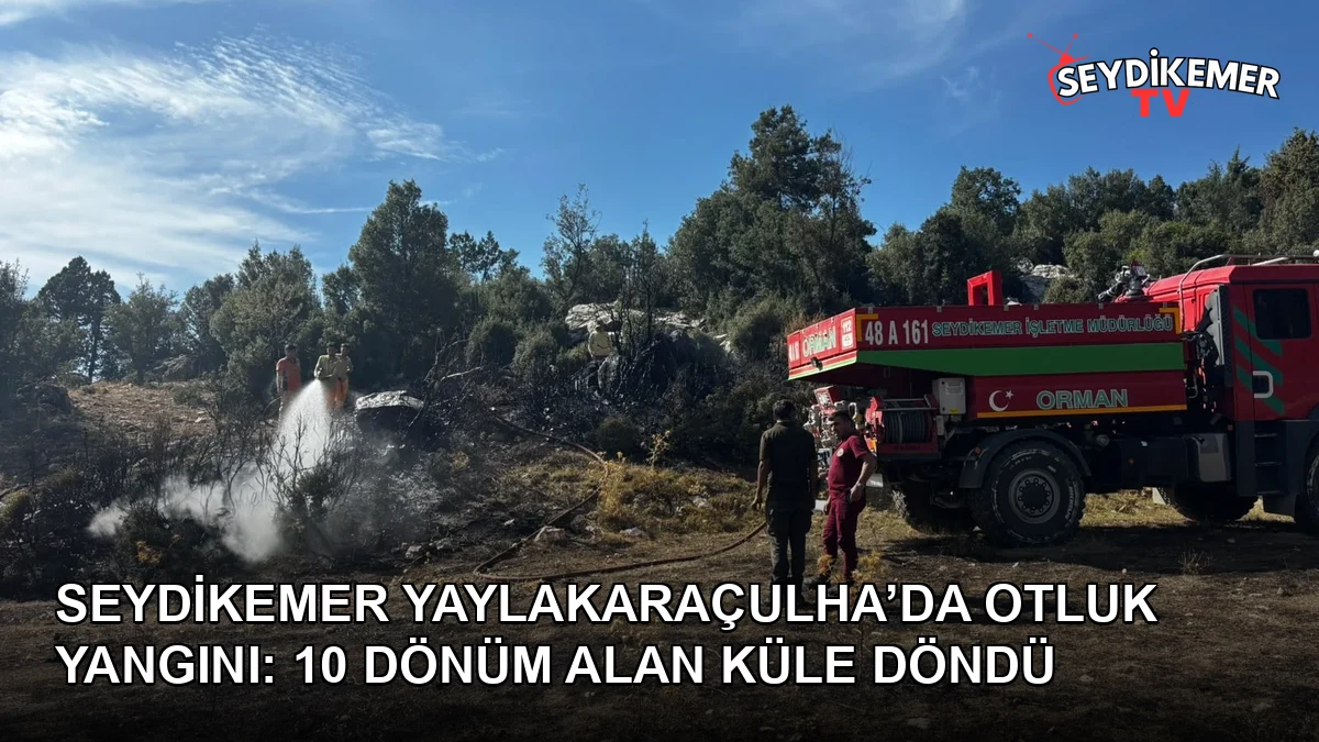 Manşet Resmi